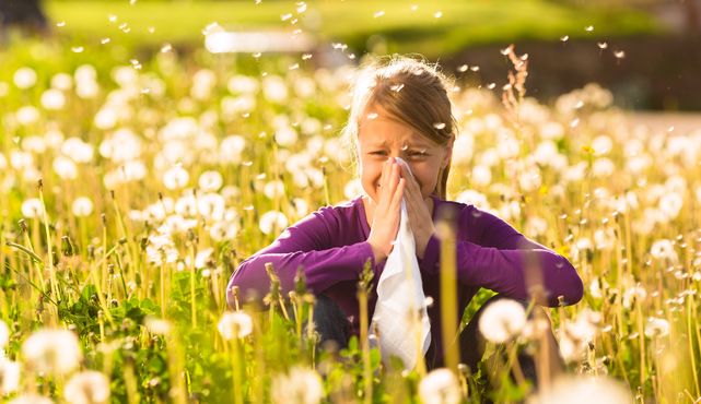 Cómo afecta el cambio climático a los alérgicos al polen